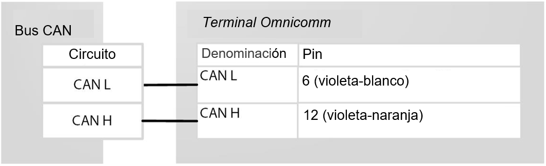 Conexión al Bus CAN 