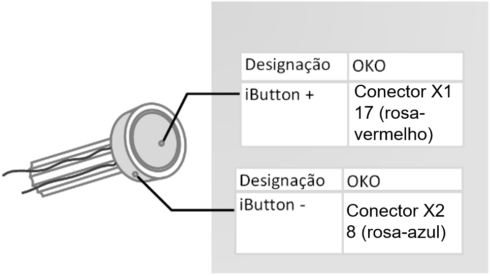Conexão de iButton 